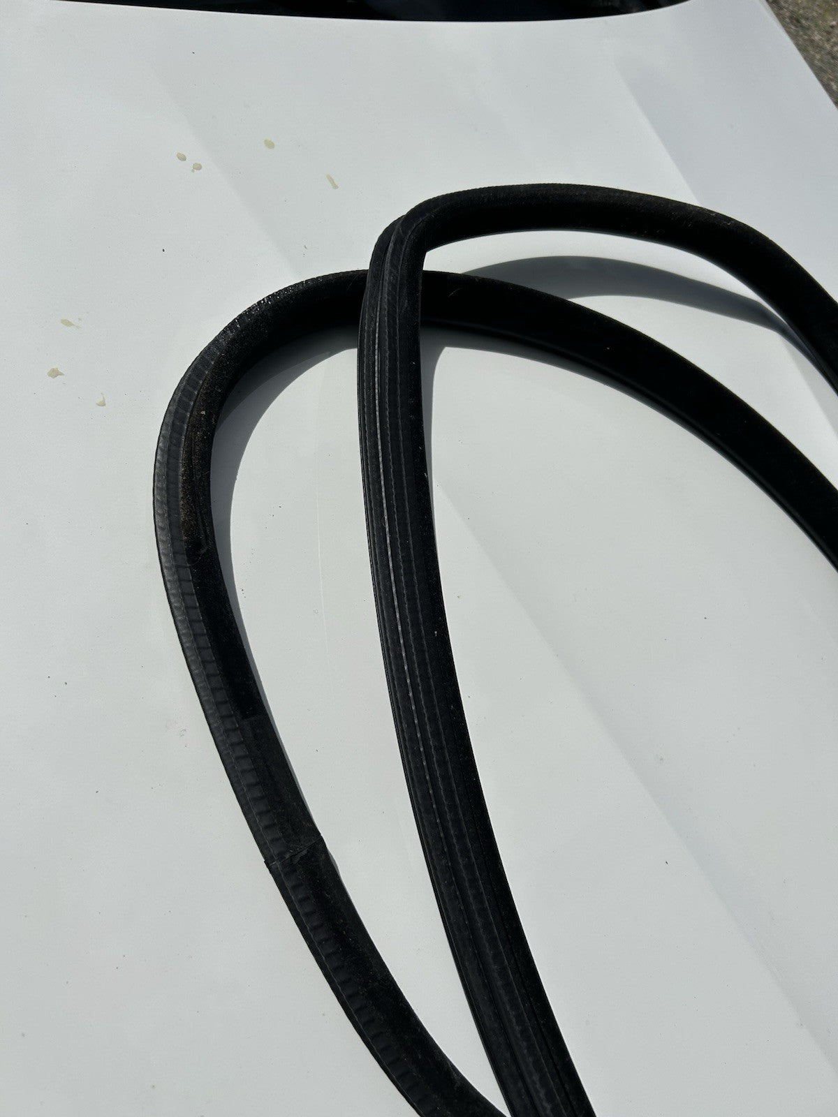 OEM BMW F15 X5 14-18 Right Rear RH Door Seal Gasket Weatherstrip