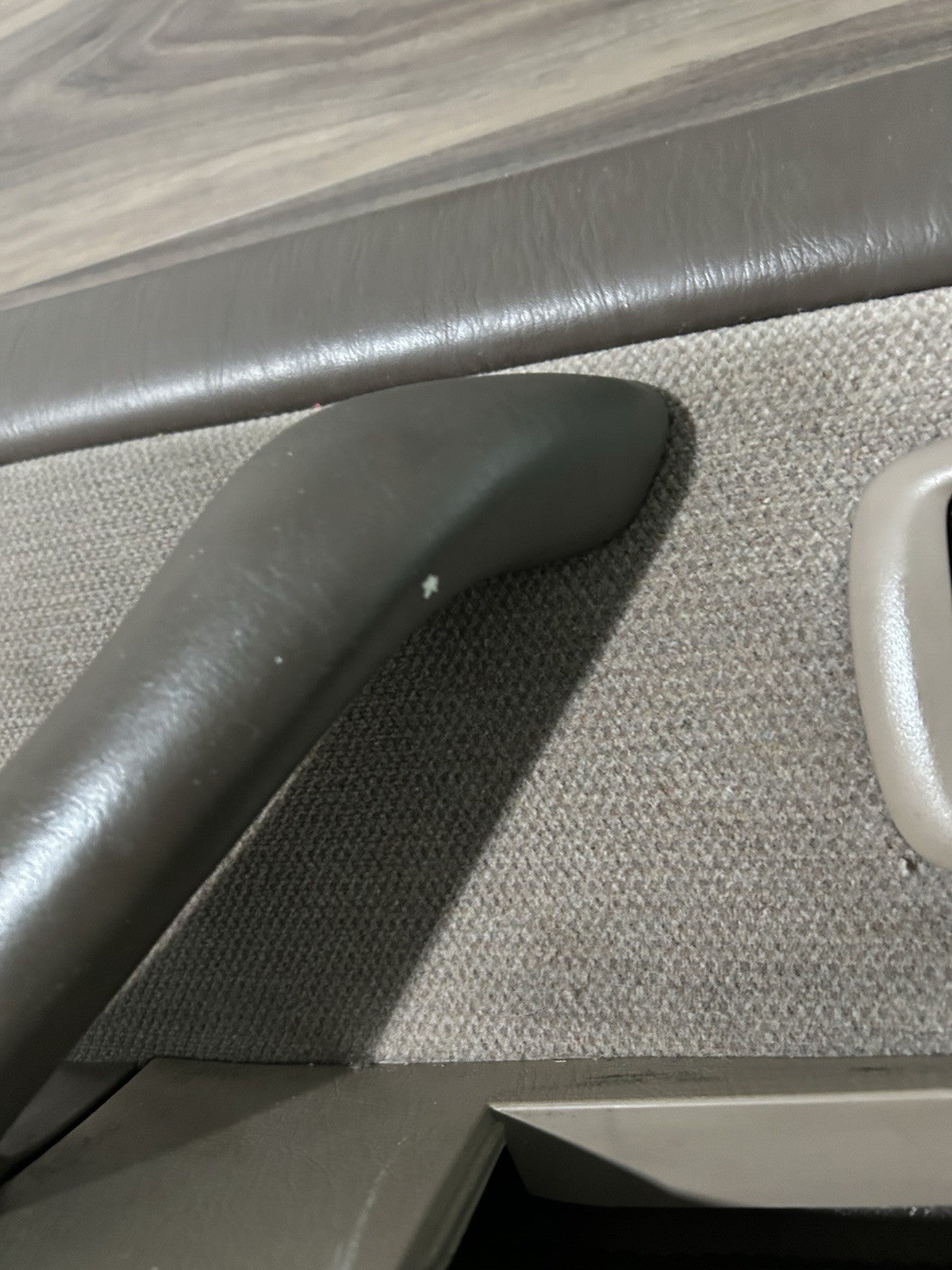 2001 2002 2003 2004 Toyota Sequoia Left Driver  Front Door Panel Trim Tan OEM