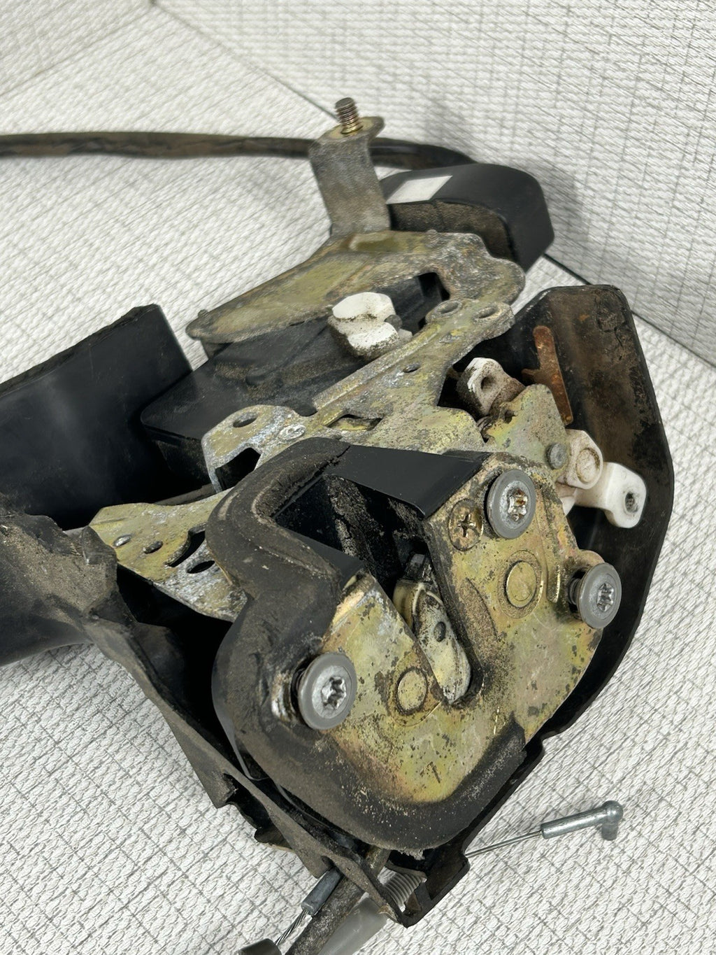 Image #5