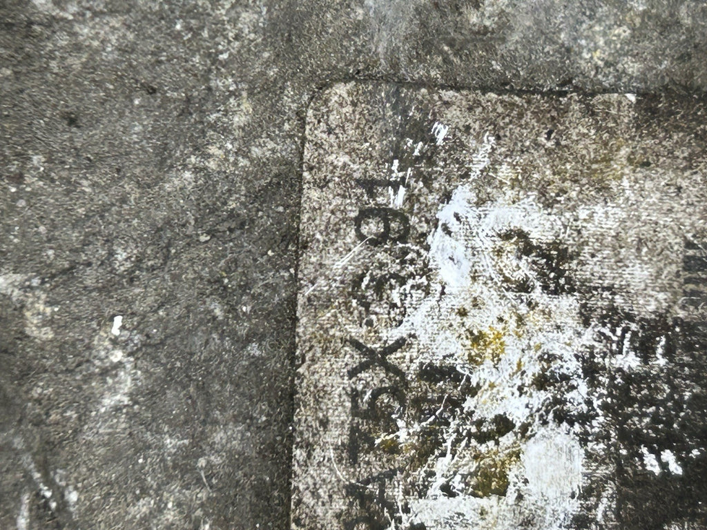 2006-2011 BMW 325Xi 328Xi Front Differential Carrier Diff 3.91 Ratio OEM Used