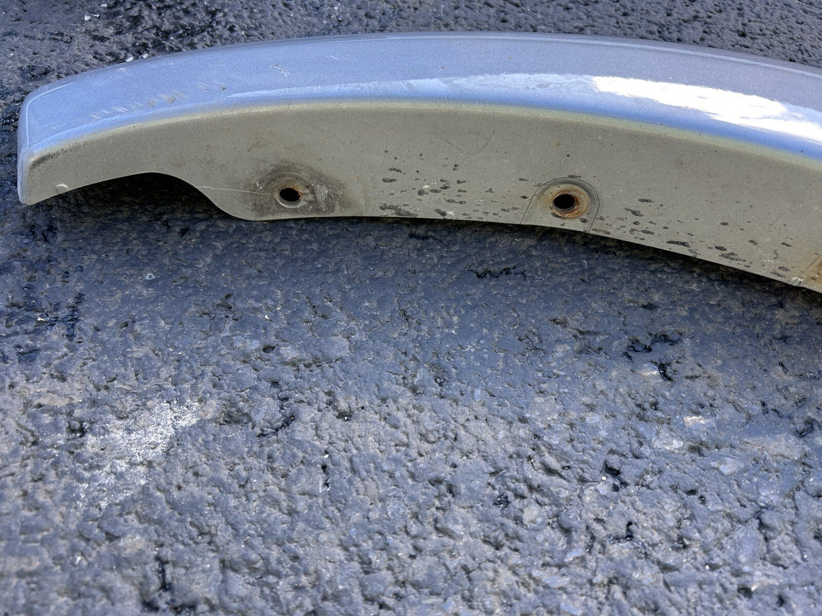 2001-2007 Toyota Sequoia Front Right Side Fender Flare Wheel Molding Colour 1D6