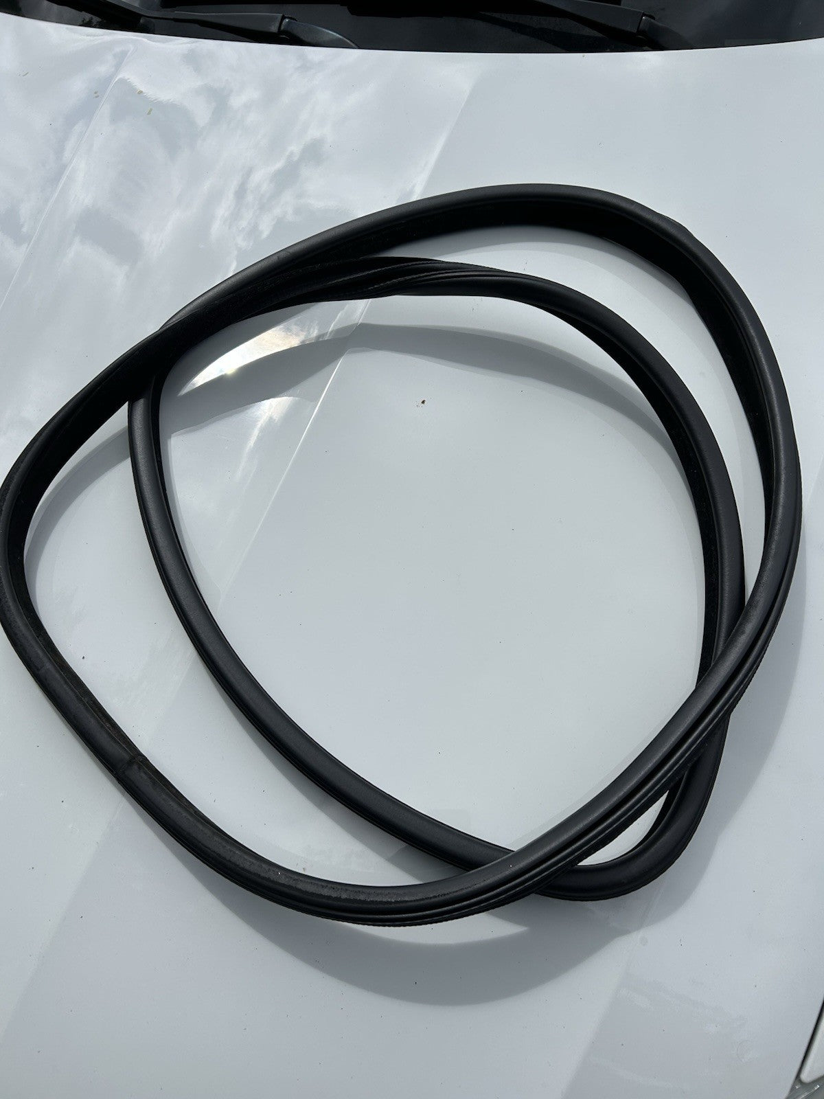 OEM BMW F15 X5 14-18 Left Rear LR Door Seal Gasket Weatherstrip 51727289689