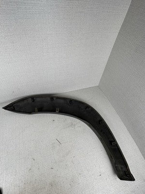 2001-2007 Toyota Sequoia Front Right Side Fender Flare Wheel Molding Colour 1C7